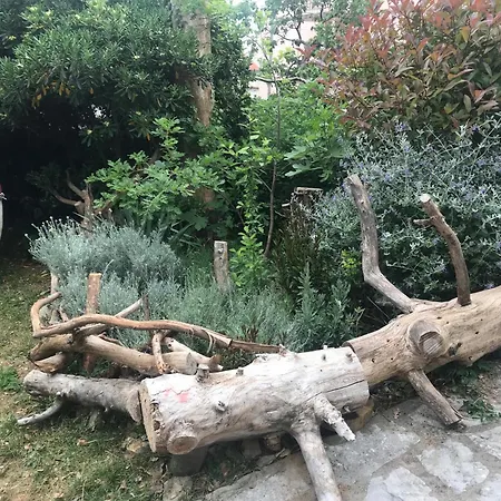 House Neytiri Tatil Evi *
