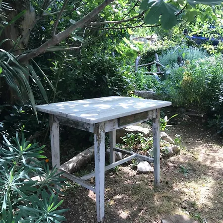 House Neytiri * 塞尔瑟