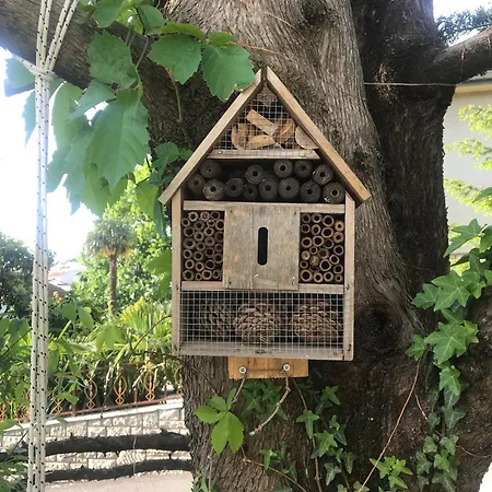 Tatil Evi House Neytiri