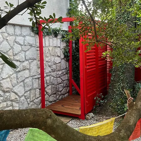 House Neytiri 塞尔瑟